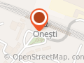 Oneşti