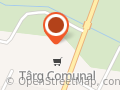 Târg Comunal