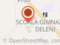 Primăria Deleni