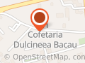 Muzeul Judetean de Arta