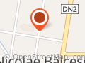 Pizza balcescu