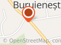Fast Food Buruienesti