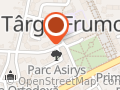 Târgu Frumos Transport Persoane Germania
