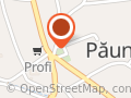 Camin Cultural Paunesti