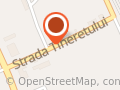 Vasile i. Marius Intreprindere Individuala