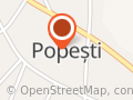 Centrul de Plasament pentru Copii cu Dizabilităţi Popesti