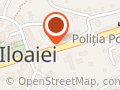 Pionii Regelui