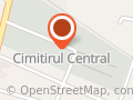 Cimitirul Central
