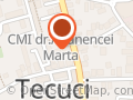 BOTEZ IONICA