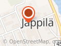 Fysioterapeutti Aija Lappi