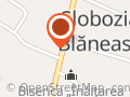 Ionel