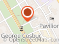 Vericeanu Consulting