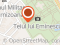 Bustul lui N. Gane