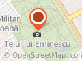 Obeliscul cu lei grei