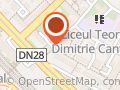Dr. Chichirău Raluca Diana