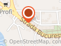 BIN Dincă Mirela - Luminiţa