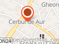 BEJENARU-VRABIE ALIN PERSOANĂ FIZICĂ AUTORIZATĂ