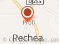 Piese Auto Pechea