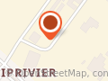 Rileys