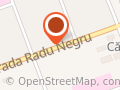 Centrul de Plasament Negru Voda