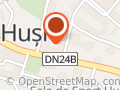 Synevo Husi