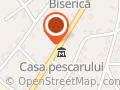 CASA NELU PESCARU