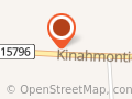 Kotikummun tila