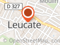 Eupalynos