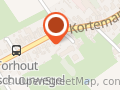 Café de zwarte leeuw