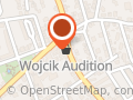 Wojcik Audition
