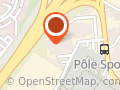 LES LIONS DE WASQUEHAL LILLE METROPOLE