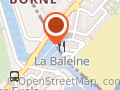 La Baleine Bleue