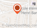 Cebula Celine