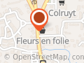 Fleurs en Folie