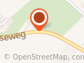 Voetbalploeg Kipstar