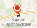 Wijnen Maarten