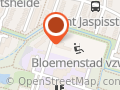 Europagidsen en -scouts Gent