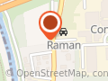 Garage Raman