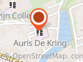 Auris De Kring