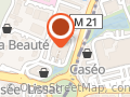 SAS COMITI
