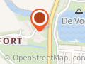 Steijn