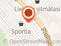 Lemmikkiasema