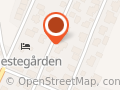Vegard Eriksen Bangsund - Bangsund Vegard