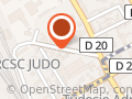 Rcsc-Judo