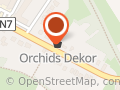 Orchids Dekor