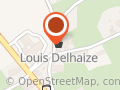 LOUIS DELHAIZE GOOIK