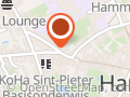 't Hams Gazetje