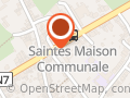 LOUIS DELHAIZE SAINTES