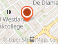 Ben de Westlandse Bij