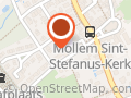 De dolfijntjes